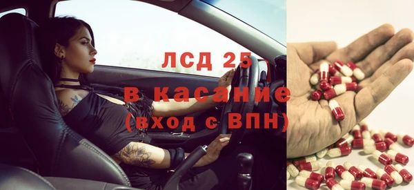 мяу мяу мука Баксан