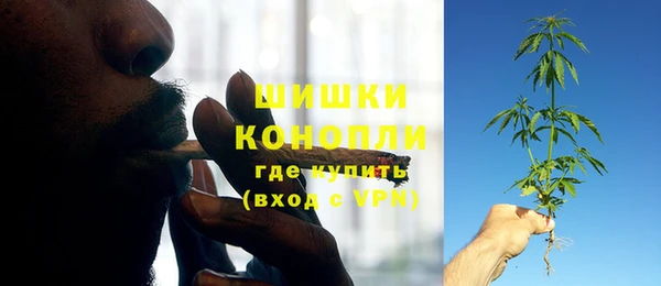 трава Арсеньев