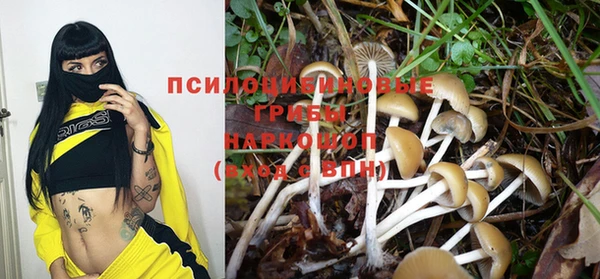 мяу мяу мука Баксан