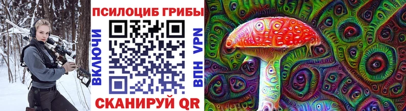 Купить где  Белая Холуница  Галлюциногенные грибы Magic Shrooms 